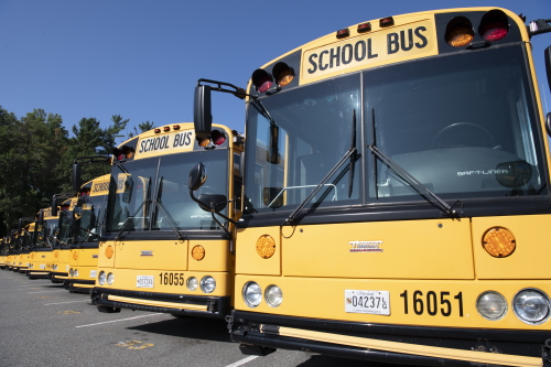 School Bus Safety